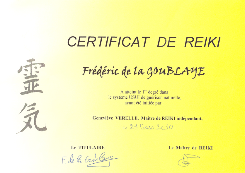 reiki niveau 1
